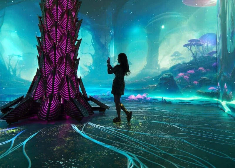 Interactive Installations A Journey of the Senses